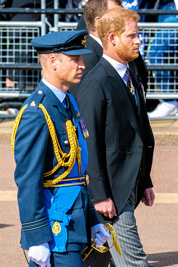 Prince William, Prince Harry