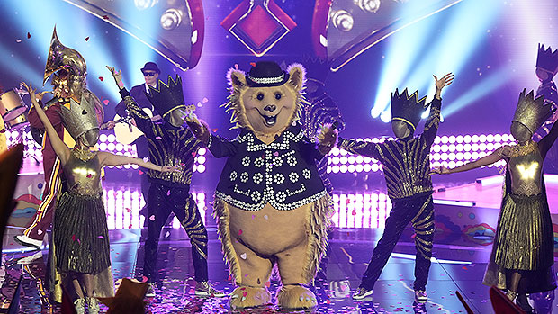 'Masked Singer Hedgehog Reveals How Surviving Cancer Driven Him To Do The Show