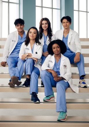 Grey's Anatomy - ABC's 