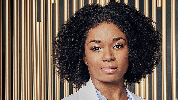 Who Is Alexis Floyd? About The New 'Grey's Anatomy' Cast Members –  Hollywood Life