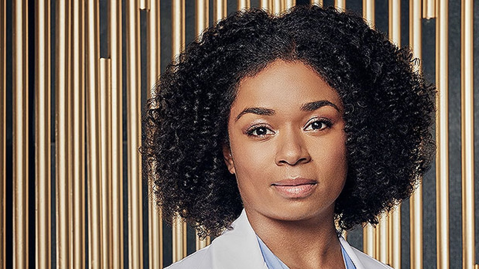 Who Is Alexis Floyd? About The New ‘Grey’s Anatomy’ Cast Members ...