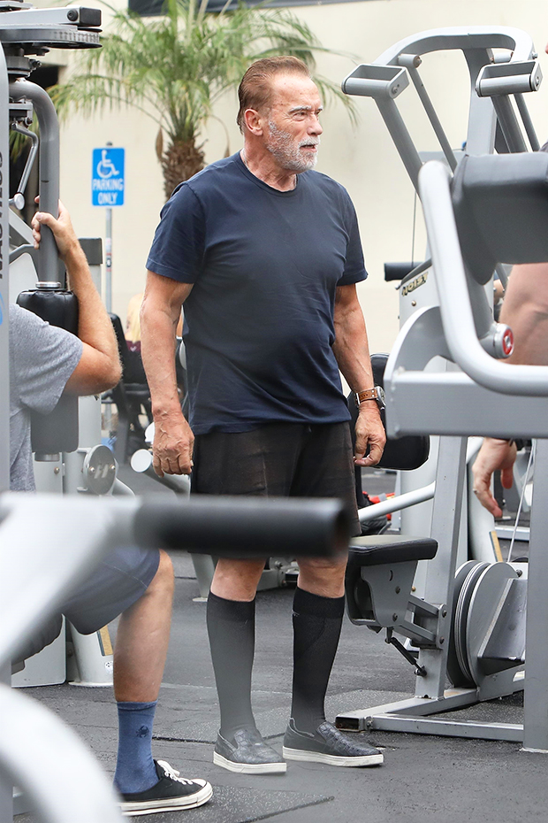 Arnold Schwarzenegger Looks Better Than Ever On His Workout | atelier ...