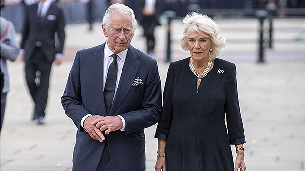 Queen Camilla would not be a 'grandmother' to the children of Prince William and Princess Kate