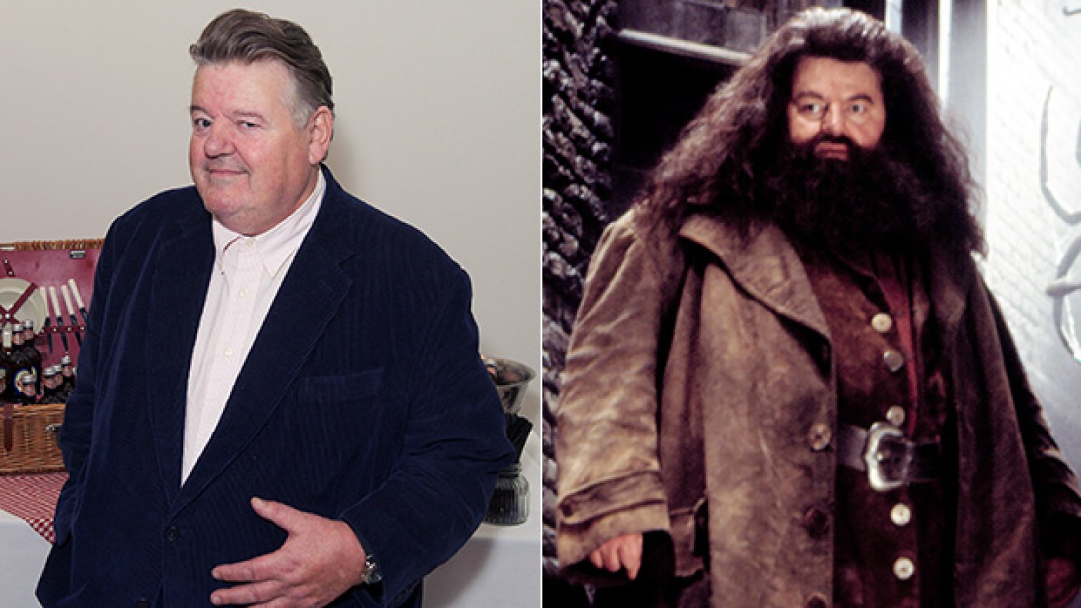 ‘Harry Potter’ Actors Who Are Dead In Real Life Robbie Coltrane & More