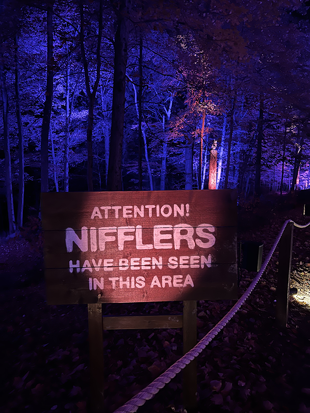 A Forbidden Forest Experience in USA – What to Know