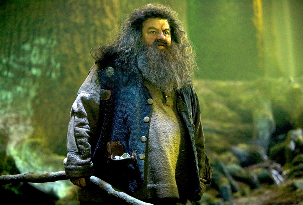 HARRY POTTER AND THE ORDER OF THE PHOENIX, Robbie Coltrane, 2007. Ph: Murray Close/©Warner Bros./Courtesy Everett Collection