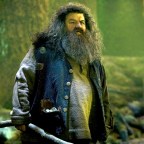 HARRY POTTER AND THE ORDER OF THE PHOENIX, Robbie Coltrane, 2007. Ph: Murray Close/©Warner Bros./Cou