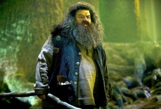 HARRY POTTER AND THE ORDER OF THE PHOENIX, Robbie Coltrane, 2007. Ph: Murray Close/©Warner Bros./Courtesy Everett Collection