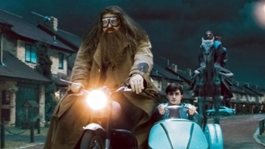 Harry Potter Harry Hagrid