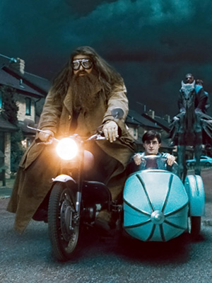 Harry Potter Harry Hagrid