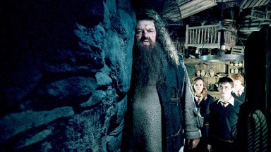 Harry Potter, Robbie Coltrane, Emma Watson, Daniel Radcliffe, Rupert Grint