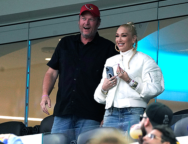 Flirty Fans! Gwen Stefani And Blake Shelton Can't Keep Their Hands Off Each  Other During PDA-Packed Football Game