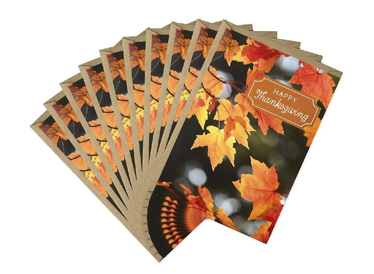 Thanksgiving Cards reviews