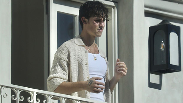 Shawn Mendes shows off his muscles in a form-fitting shirt as he grabs  coffee in West Hollywood