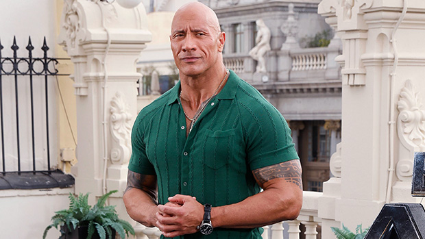 Dwayne Johnson’s Insane 6-Meal-A-Day Diet Revealed: What The Rock Eats To Earn Superhero Body