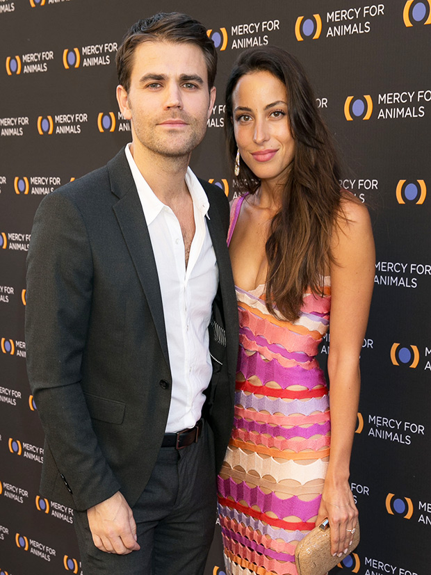 Who Is Ines De Ramon Meet Paul Wesleys Ex Hanging With Brad Pitt