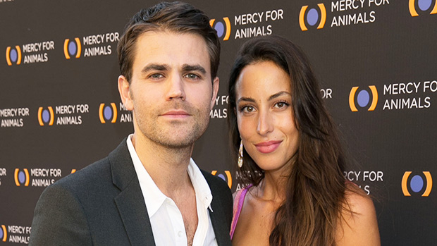 Ines De Ramon: 5 Things To Know About Paul Wesley’s Ex Spotted Hanging With Brad Pitt