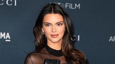 Kendall Jenner Wears Totally Sheer Black & Silver Dress On Carpet For LACMA Gala: Photos