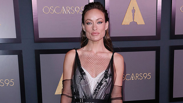Olivia Wilde stuns in plunging dress for Governor's Awards in first photos after Harry Styles split