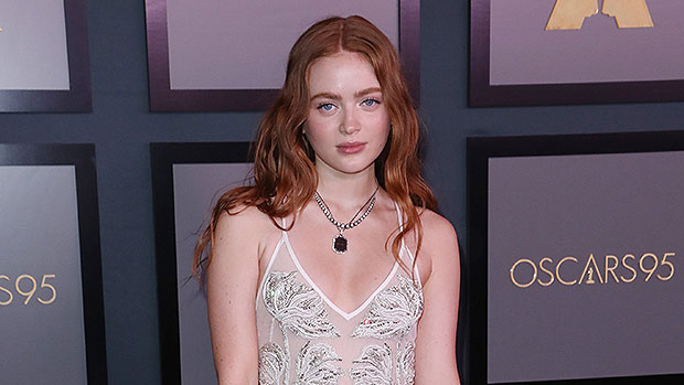 Sadie Sink Looks Pretty in Embroidered Tulle Dress for Governors Awards: Pics