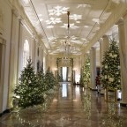 White House Holiday Decor Preview - Washington, United States - 28 Nov 2022