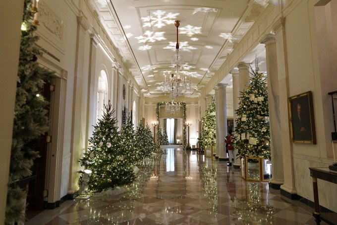 Christmas Trees In The White House