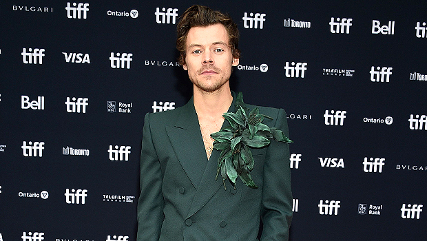 Harry Styles Spends Christmas At Home With Family After Olivia Wilde Split: See Photo