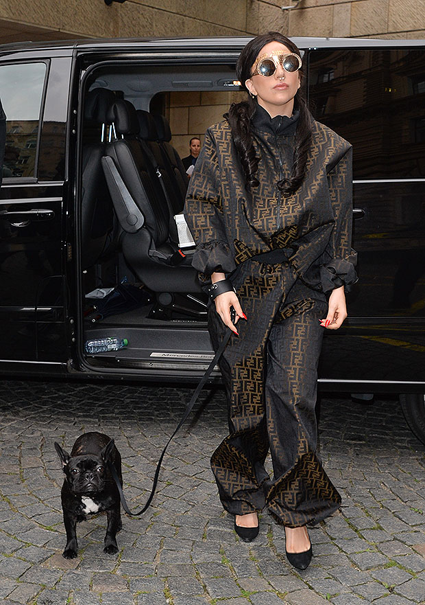 Lady Gaga and dog