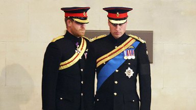 Prince William harry