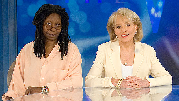 whoopi goldberg, barbara walters