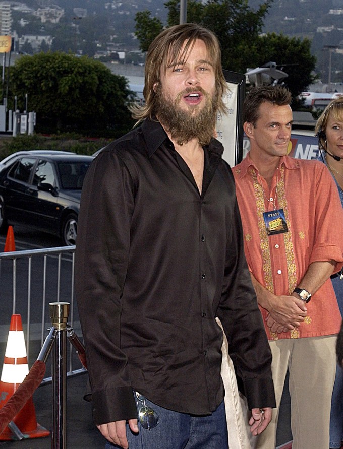 Brad Pitt In 2002