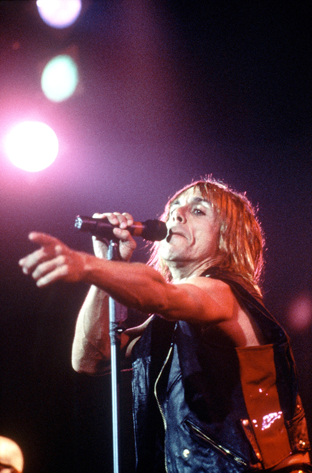 Begroeten kiezen B.C. Iggy Pop Songs: 12 Of The Godfather Of Punk's Best Tracks – Hollywood Life