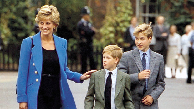 Prince Harry Admits He Thinks Mom Princess Diana Would Be ‘Sad’ Over His Rift With William