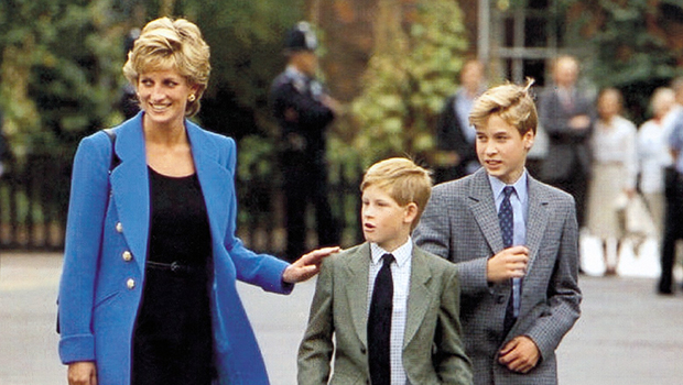 prince harry, princess diana, prince william