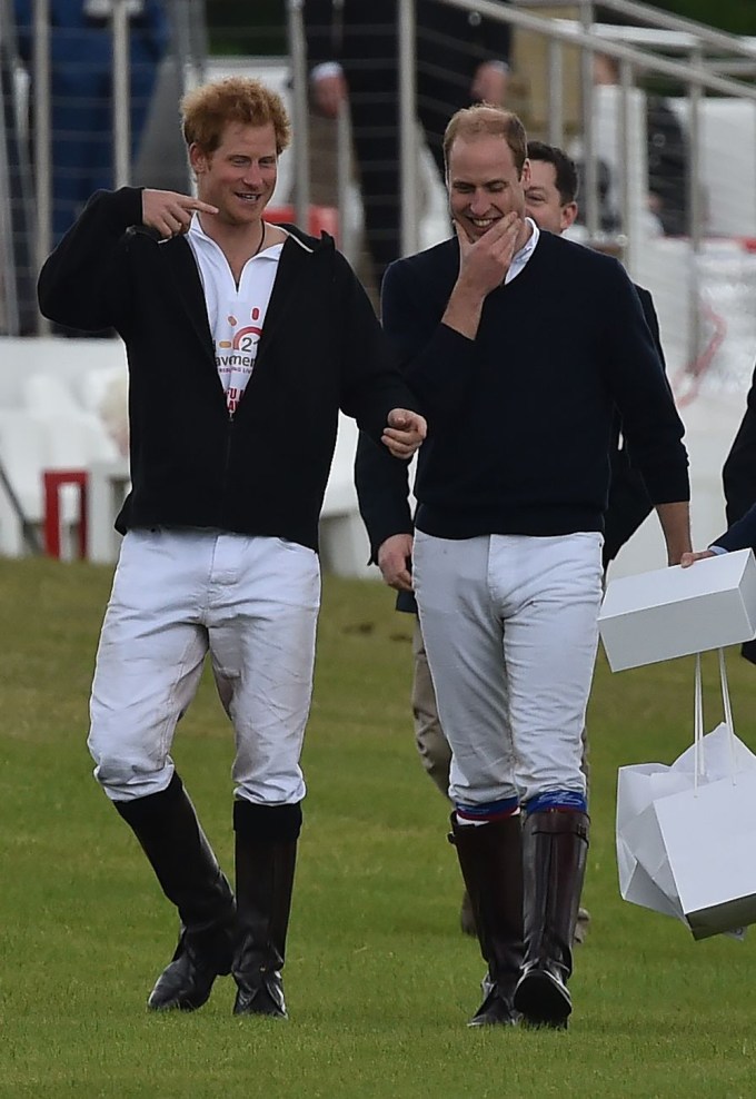 Prince Harry & Prince William in 2015