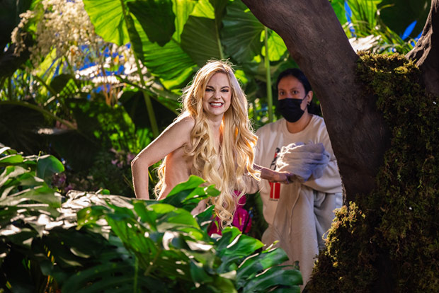 Anna Faris Goes Topless In Super Bowl Commercial For Avocados From Mexico Watch Obtain