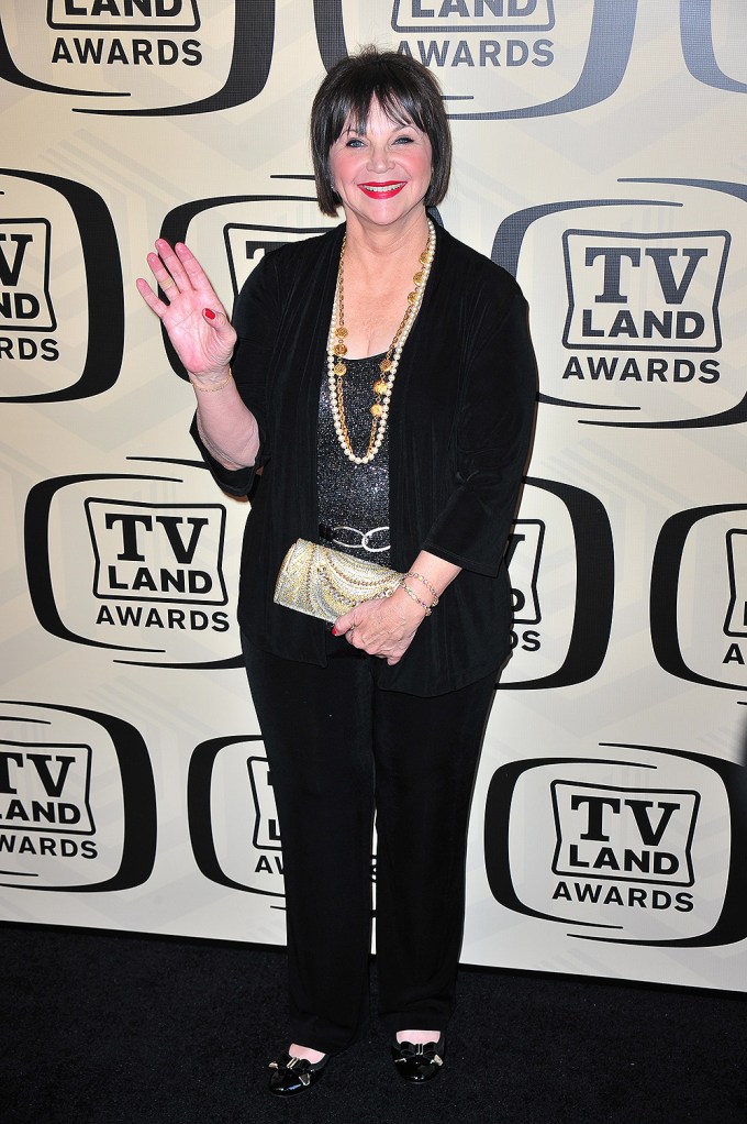 TV Land Awards 2012