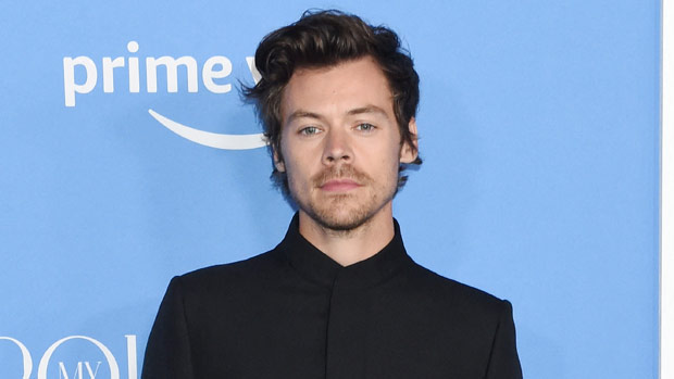 Harry Styles Spotted Hugging Mystery Woman In London 2 Months After Olivia Wilde Split: Photos