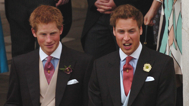 Prince Harry, Prince William