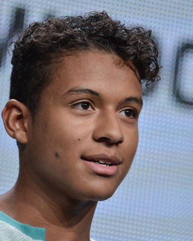 Jaafar Jackson speaks onstage during the "Living with THE JACKSONS" panel at the Reelz Channel 2014 Summer TCA, in Beverly Hills, Calif
Reelz Channel 2014 Summer TCA, Beverly Hills, USA - 12 Jul 2014