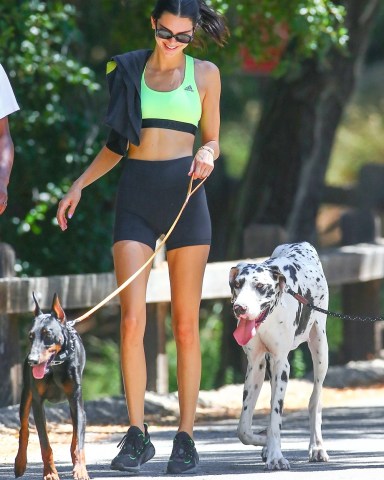 Los Angeles, CA - *EXCLUSIVE* - Kendall Jenner brings her pooch and her friends Fai Khadra and Taco for a hike in L.A. meanwhile her family celebrates Kylie's 22nd birthday aboard a mega-yacht in France!Pictured: Kendall JennerBACKGRID USA 14 AUGUST 2019 USA: +1 310 798 9111 / usasales@backgrid.comUK: +44 208 344 2007 / uksales@backgrid.com*UK Clients - Pictures Containing ChildrenPlease Pixelate Face Prior To Publication*
