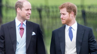 prince harry prince william