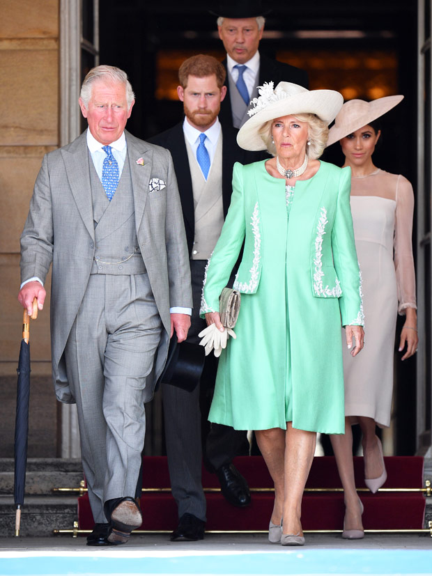 prince harry king charles camilla