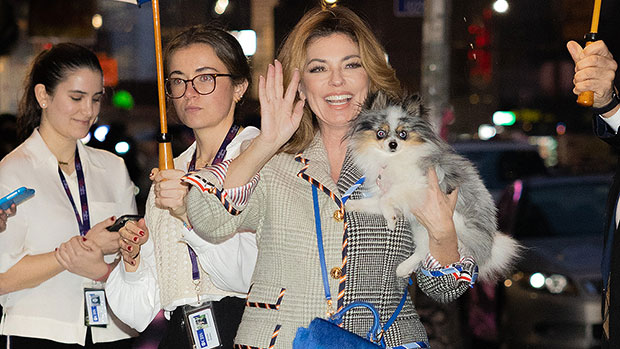 Шанайя Твейн обнимала очаровательную собаку по прибытии на шоу Стивена Колберта: фото