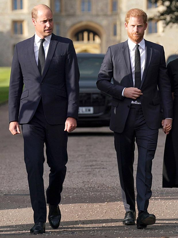 Taç Giyme Töreni Öncesi Prens William ve Prens Harry Buluşması: Rapor - Hollywood Life