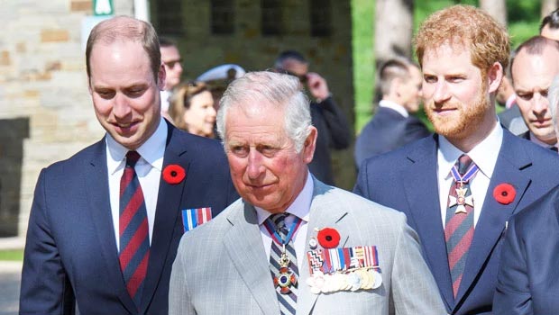 Королевская семья хочет, чтобы принцы Уильям и принц Гарри сидели перед коронацией короля Чарльза.