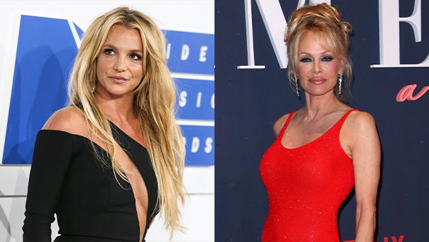 Britney Spears Shades Sons After Pamela Anderson's 'Stood Up For Her' –  Hollywood Life