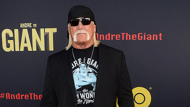 Hulk Hogan Apologizes for Racial Slur, After Losing W.W.E. Contract - The  New York Times