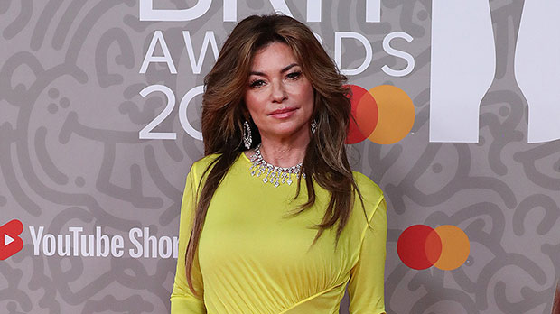 Shania Twain Goes Back To Brunette Highlighted Hair After Blonde