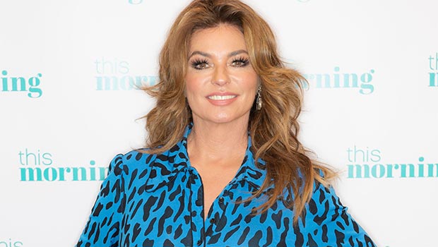 Shania Twain, 57, Debuts New Platinum Blonde Hair Makeover: Before & After Photos